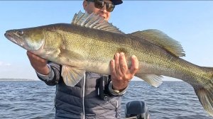 Рыбалка на горьковском водохранилище в конце сентября