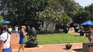 Novotel Goa Resort, Гоа, Кандолим. Обзор отеля.