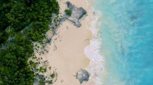 11816858-uhd_3840_2160_60fps