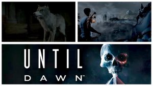 Until Dawn (Дожить до рассвета) #6 Психлечебница