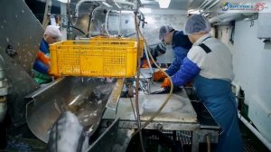 ЯМС "Восток-1" - Охотское море