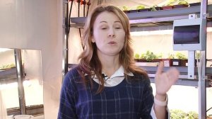 Выращивание полезных овощей от селекционеров Агрофирмы Поиск. Лучшие сорта и гибриды овощей.