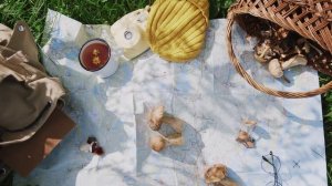 6132968-uhd_4096_2160_25fps