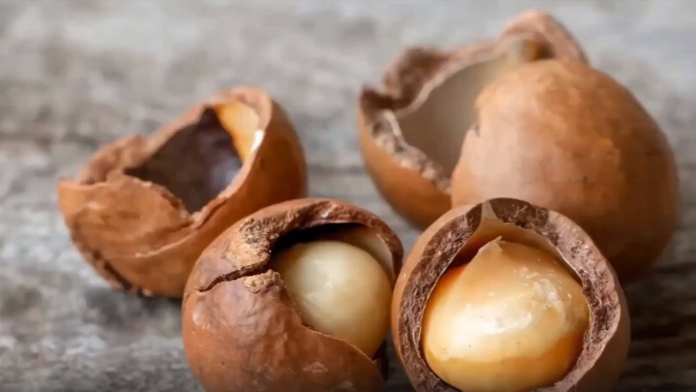 Выращивание макадамии. Секреты успешного урожая самого дорогого ореха в мире смотреть онлайн