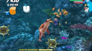 играю в hungry shark