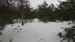 КАК НАУЧИТЬСЯ ВЛАДЕТЬ МАГИЕЙ...