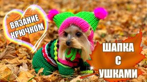 Вяжем шапку с ушками для собак и кошек крючком 🐾💕 | Подробный Мастер-класс от Яны Skywool