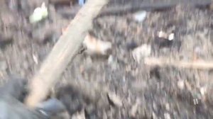 Раскопки мамонта в городе Нюрба