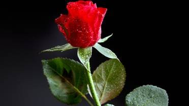 И ОПЯТЬ ВО ДВОРЕ - ( Минус ) Кобзон смотреть онлайн