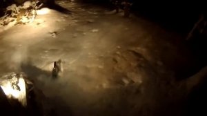 Arctic Cat по глубокому снегу в ночном лесу