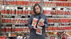 Выращивание земляники. Лучшие сорта земляники садовой. Хранение рассады земляники фриго.