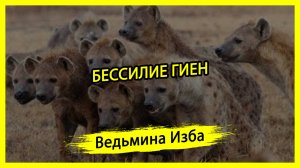 БЕССИЛИЕ ГИЕН. #ВЕДЬМИНАИЗБА ▶️ #МАГИЯ