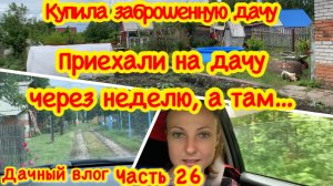 КУПИЛА ЗАБРОШЕННУЮ ДАЧУ/ПЕРЕЕЗЖАЕМ НА ДАЧУ/ЧТО С ДАЧЕЙ/ПРИЕХАЛИ НА ДАЧУ ЧЕРЕЗ НЕДЕЛЮ, А ТАМ …