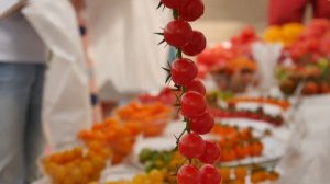 Агрофирма ПОИСК -национальный производитель семян и посадочного материала.