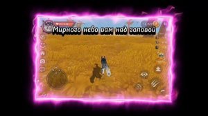 Воспоминание моего гепарда...