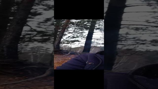 08-11-2024