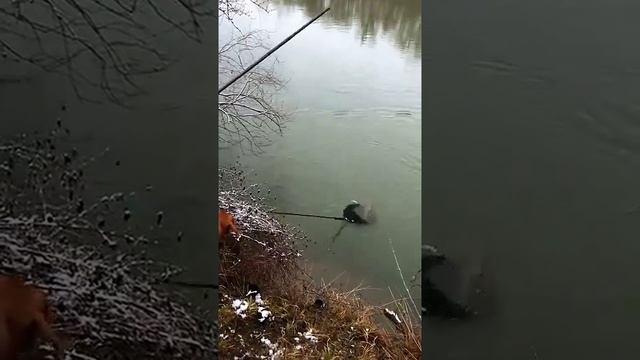 даже не знаю как прокомментировать ))- давайте сами что нибудь в комментариях )))