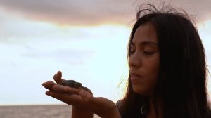 10041561-hd_1920_1080_24fps