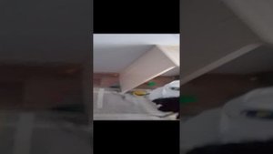 день с реборном