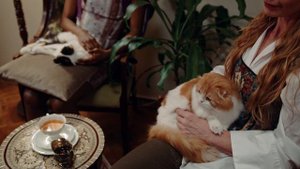 6869574-uhd_4096_2160_25fps