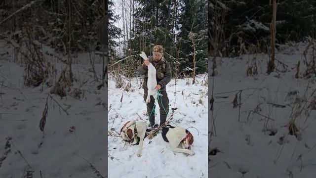 Охота в Кировской области. +18