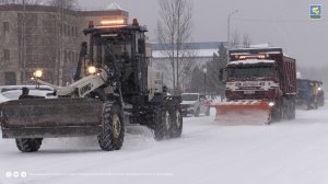 Первый снегопад