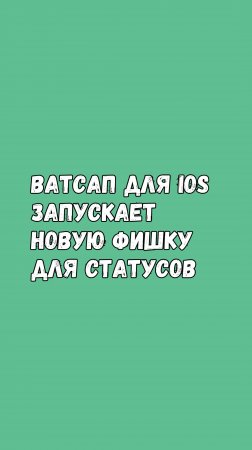 Ватсап На iOS Запускает Новую Фишку Для Статусов