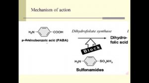 Bacterial nucleic acid and folic acid inhibitors