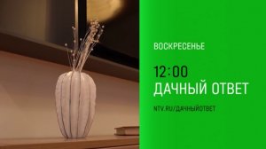 Анонс, Дачный Ответ, Воскресенье в 12:00 на НТВ, 2024