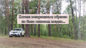 Лес ошибок не прощает #сезонконтентаRUTUB