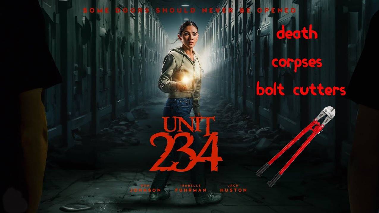 Кино-Логика: Ячейка 234/Unit 234. 2024 год.