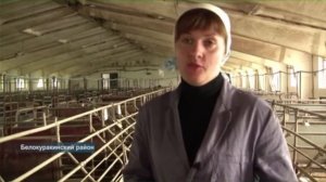 21 новое рабочее место организовали в Белокуракинском районе