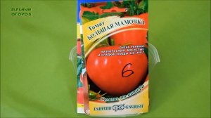 САМЫЕ РАННИЕ ТОМАТЫ для ОТКРЫТОГО ГРУНТА. Советы от ЗЕЛЕНОГО ОГОРОДА.