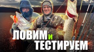 ТЕСТ ПРОЙДЕН! Тестируем новые спиннинги для твичинга и заодно ловим рыбу!