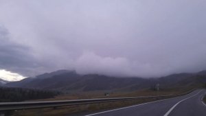 Дорога домой