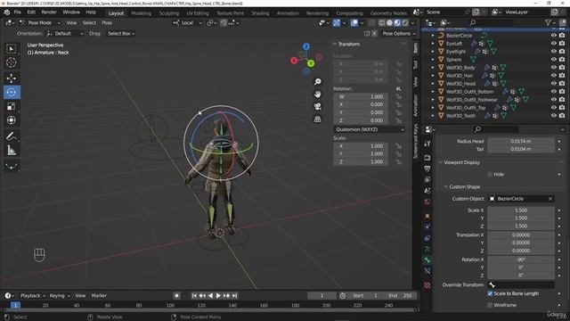 7. Setting up Custom Bone shapes