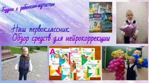 Нейрокоррекция при аутизме / Обзор дидактических пособий по нейропсихологии / 1 класс ребенка с РАС