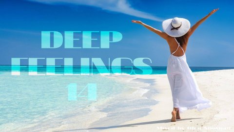 OLEG SHOVGAN - DEEP FEELINGS 14 #deephouse #vocalhouse #nudisco #дипхаус #deephouse2024