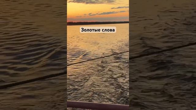 ☝️Золотые слова #нарьянмар #насевережить #лето2024 #природа #мудрость