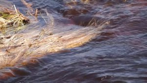 Годеново эпизод 7