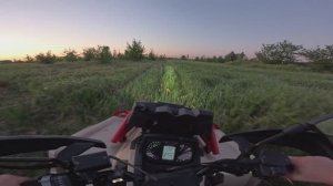 Квадроцикл Aodes Odes (Одес) 1000 MUD PRO