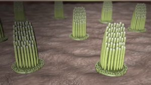 Великий Инженер - Бог!