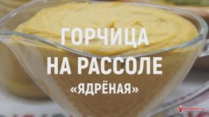 Горчица на рассоле «Ядреная» - домашняя горчица от аромата которой перехватывает дыхание