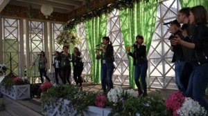 группа из Испании