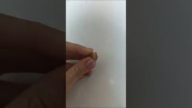 Врач Мильчакова: убийца петербурженки принял слуховой аппарат за передатчик смотреть онлайн