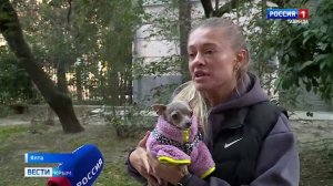 ВЕСТИ-КРЫМ: выпуск 08.11.2024 09:30