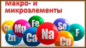 МИКРОЭЛЕМЕНТЫ КРЕМНИЙ МЕДЬ ФОСФОР СЕРА