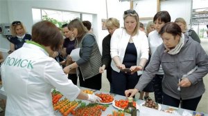 Самые вкусные томаты. Второй этап дегустационного марафона.