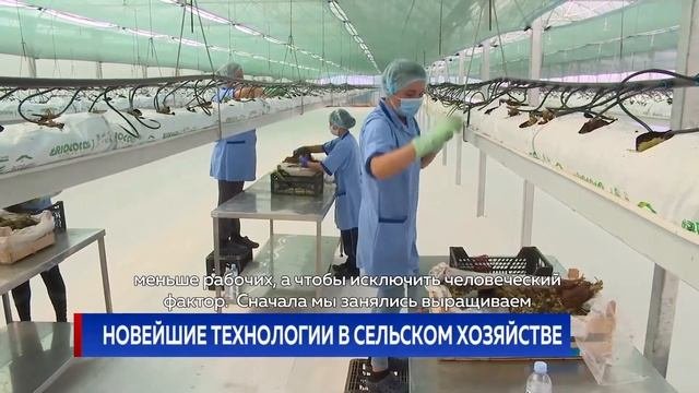 НОВЕЙШИЕ ТЕХНОЛОГИИ В СЕЛЬСКОМ ХОЗЯЙСТВЕ