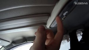 полка на потолок  рено дастер